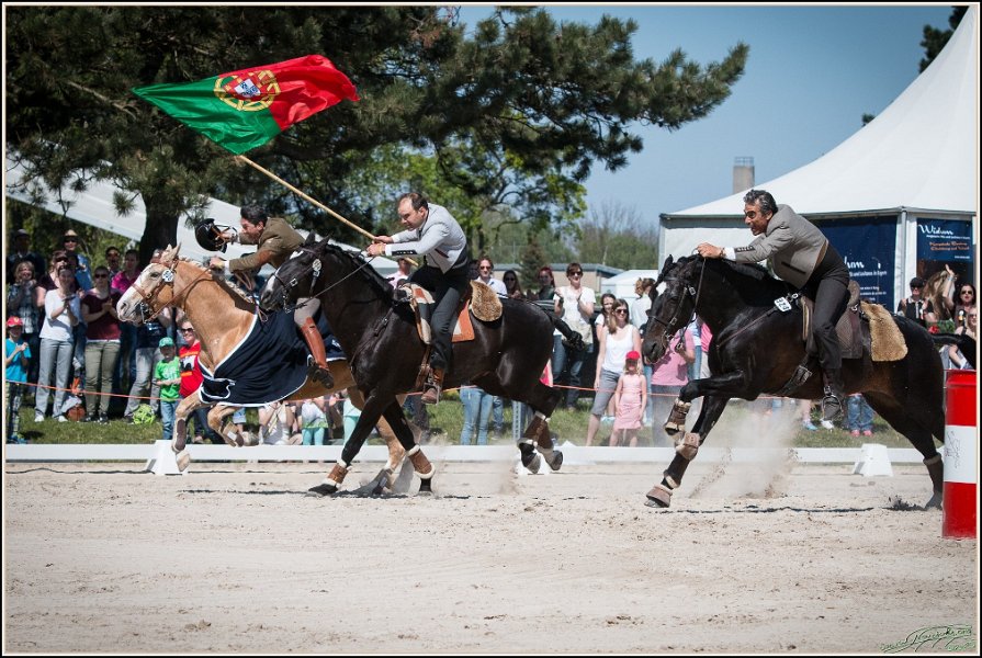 Pferd International 209